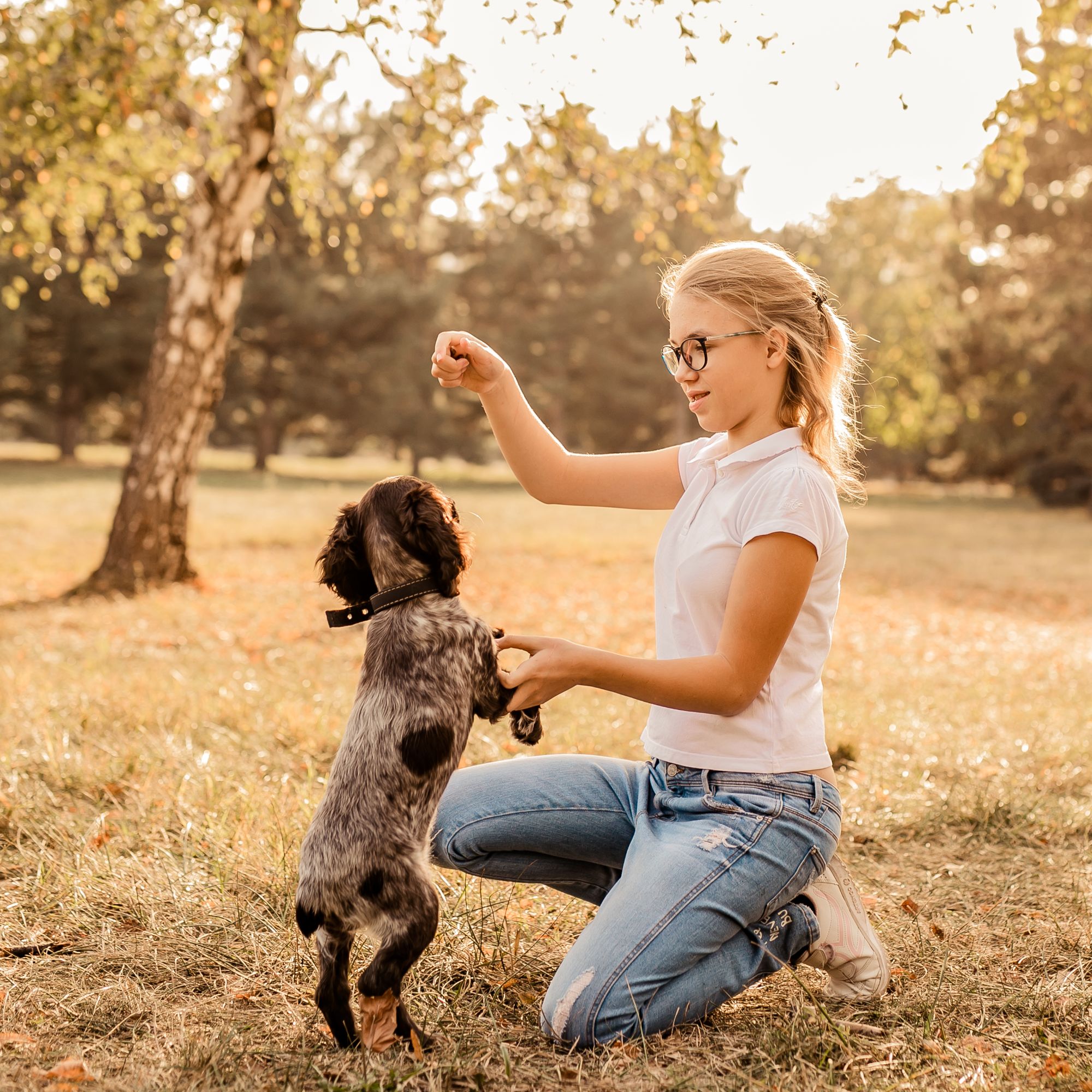 Why Your Pets Need Parasite Testing Too